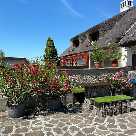 게스트하우스 Centrum Vendeghaz