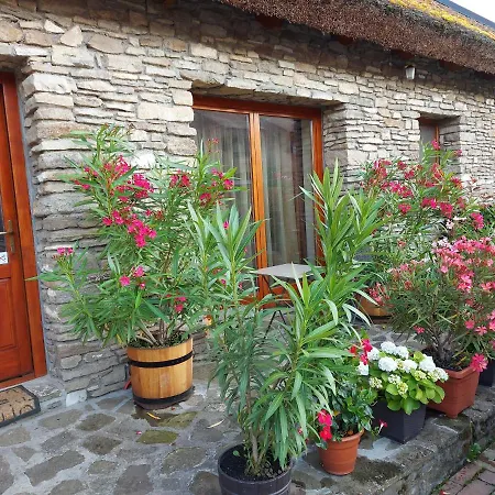 Centrum Vendeghaz Pensjonat