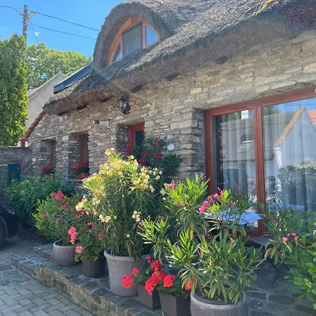 게스트하우스 Centrum Vendeghaz 티하니