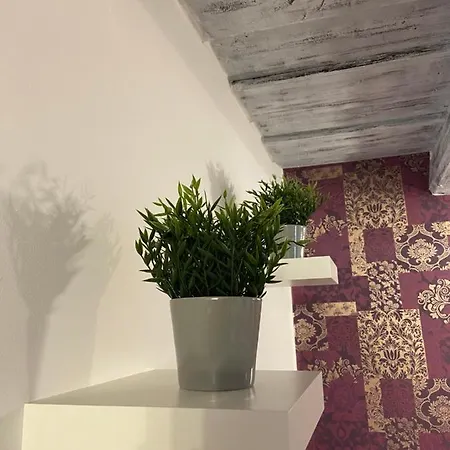 Centrum Vendeghaz 3* 티하니