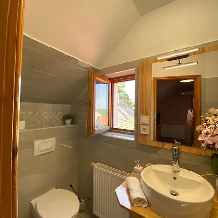 게스트하우스 Centrum Vendeghaz 3*