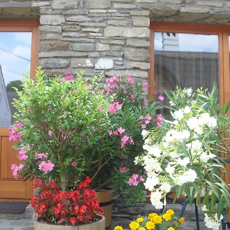 게스트하우스 Centrum Vendeghaz 3*