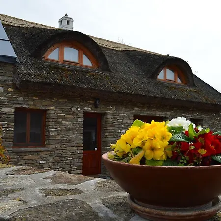 게스트하우스 Centrum Vendeghaz