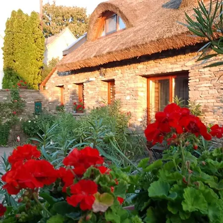 Guest house Centrum Vendeghaz Tihany