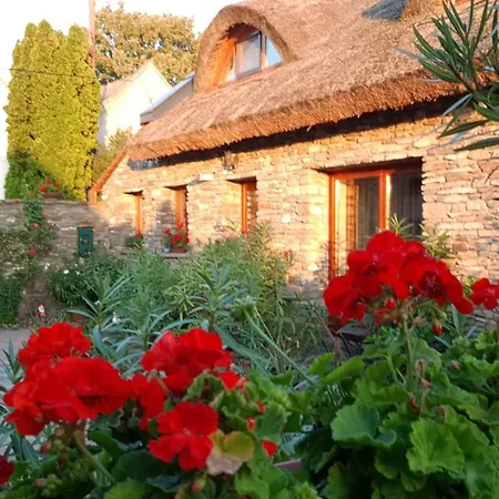 Pensjonat Centrum Vendeghaz Tihany