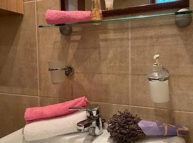 Gasthuis Centrum Vendeghaz 3*