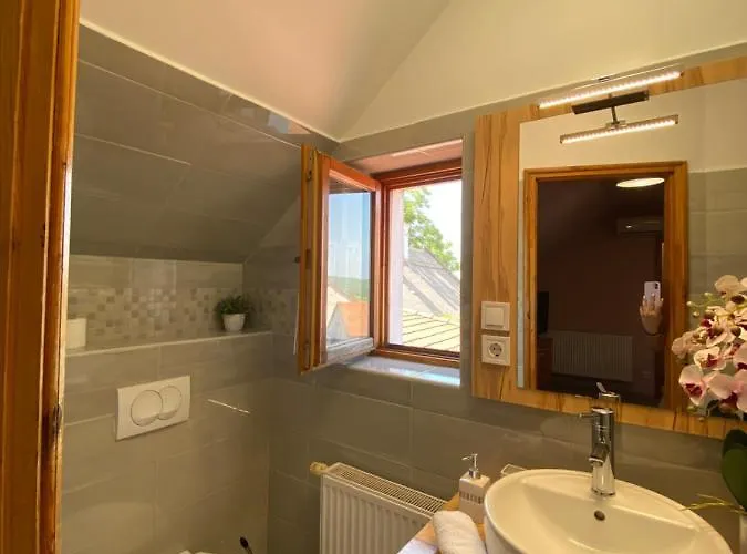 Gasthuis Centrum Vendeghaz 3*