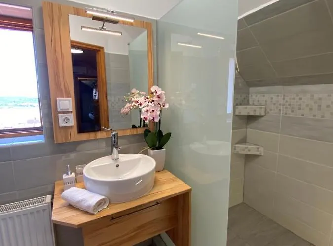 Gasthuis Centrum Vendeghaz 3*