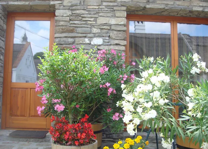 Gasthof Centrum Vendeghaz 3*