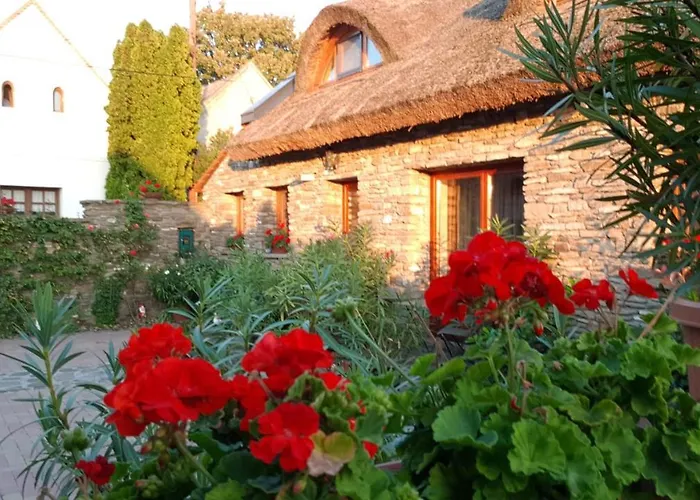 Gasthuis Centrum Vendeghaz Tihany